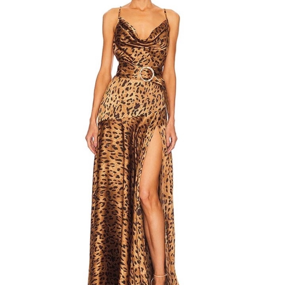 Leopard 🐆 Dress